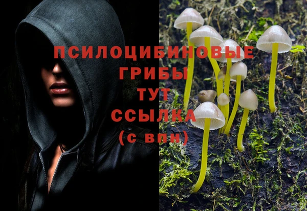 гидра Белоозёрский