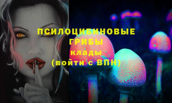 МДМА Белокуриха
